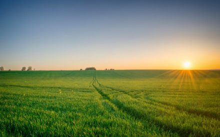agriculture3
