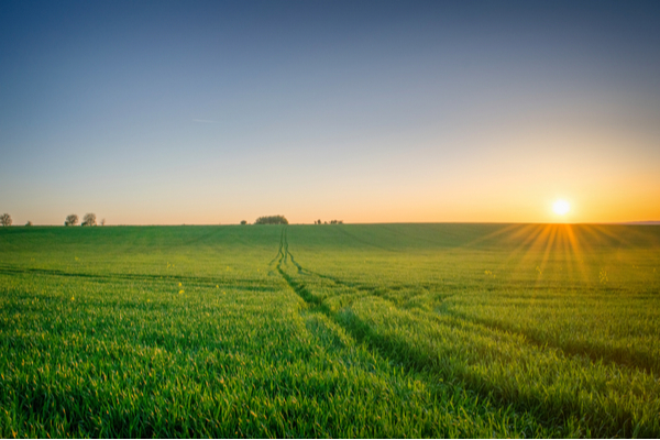 agriculture3