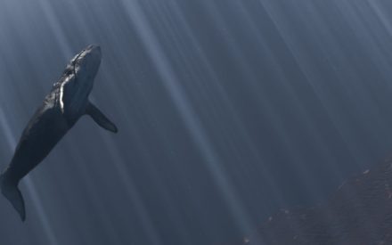 abysses