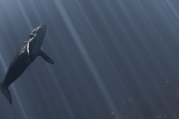 abysses