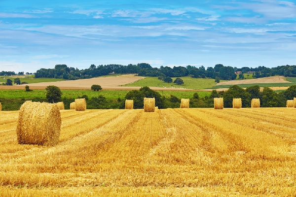 agricole