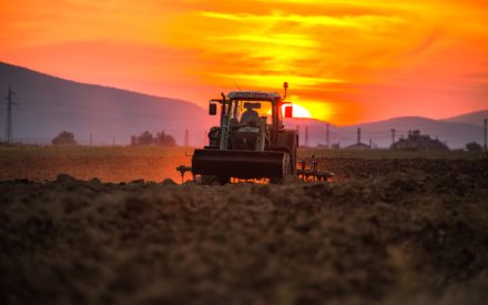 agriculteur4