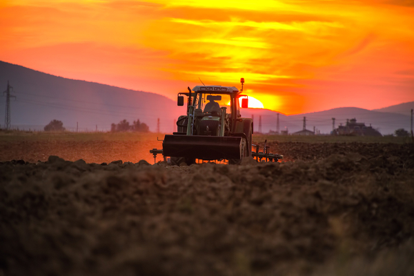 agriculteur4