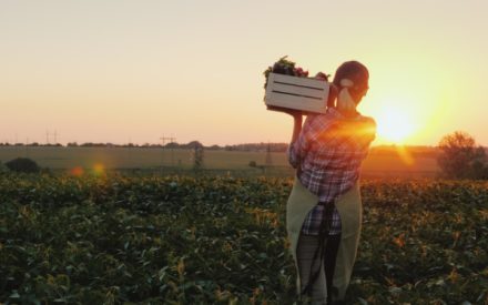 agriculteurrecolte