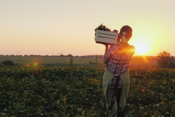 agriculteurrecolte