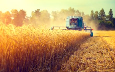 agriculture4
