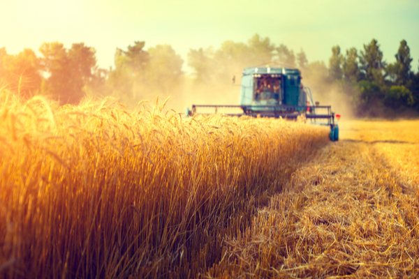 agriculture4