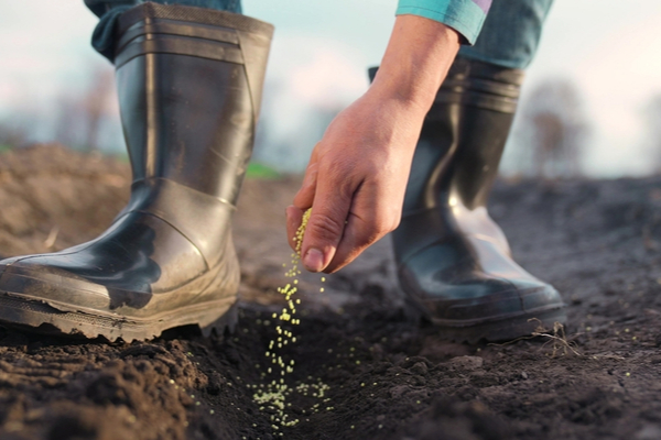 agriculturesemis