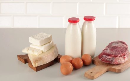 alimentation
