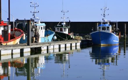 bateauprofessionnel