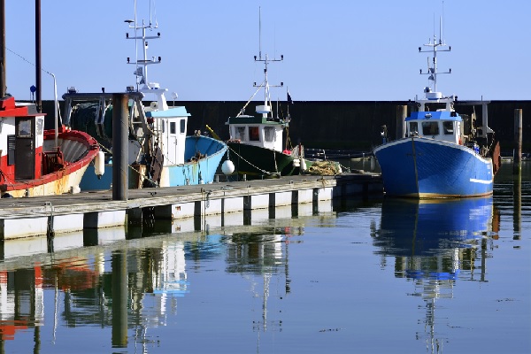 bateauprofessionnel