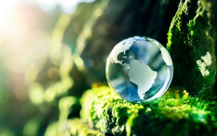 decarbonation2