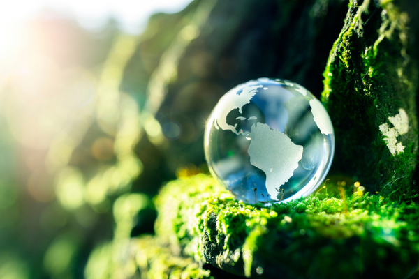 decarbonation2