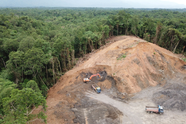 deforestation
