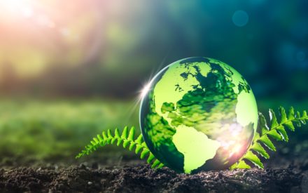 environnement3
