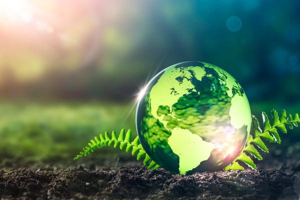 environnement3