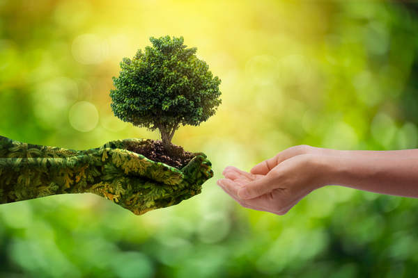 environnemententreprise