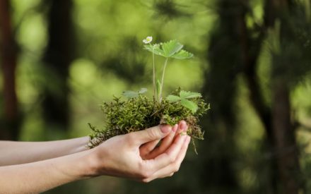 environnementplanete