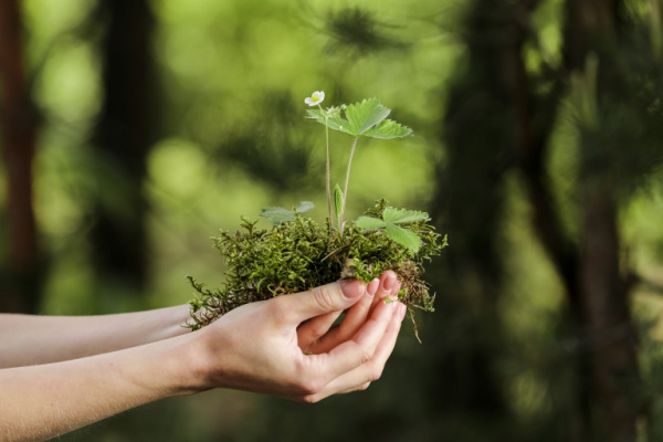 environnementplanete