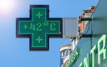 medicamentcanicule
