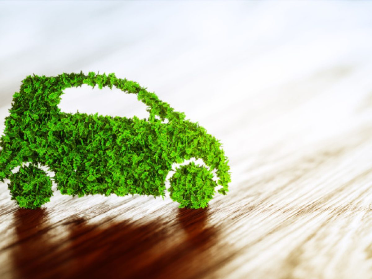 Prises et bornes de recharge pour véhicules électriques : ensemble vers  plus de mobilité verte - professionnel