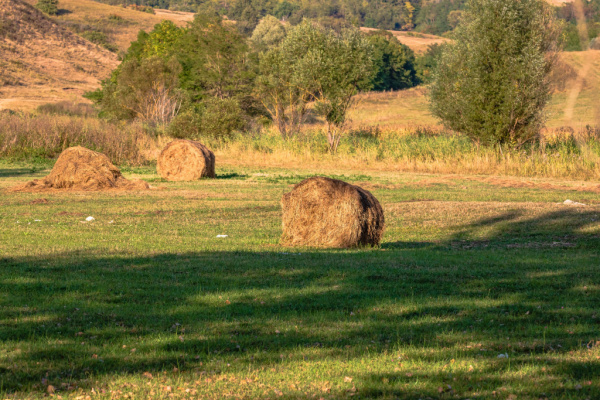 parcelleagricole3