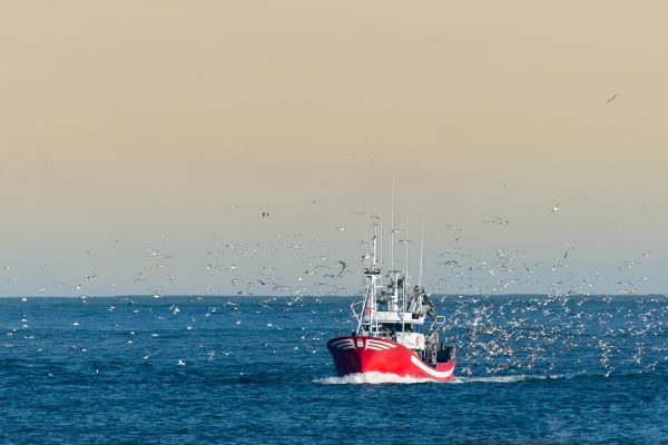 peche2