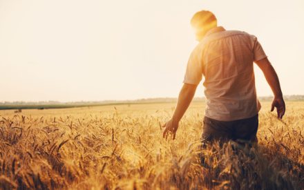 agriculture5
