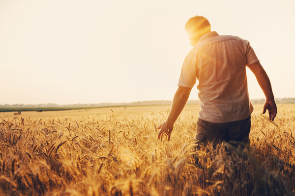 agriculture5