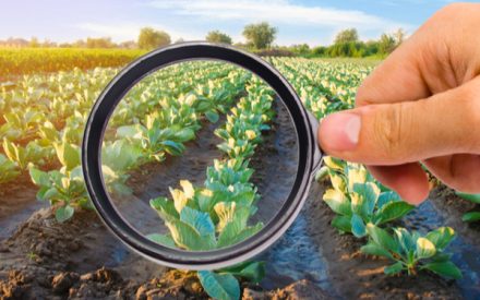 agroalimentaire