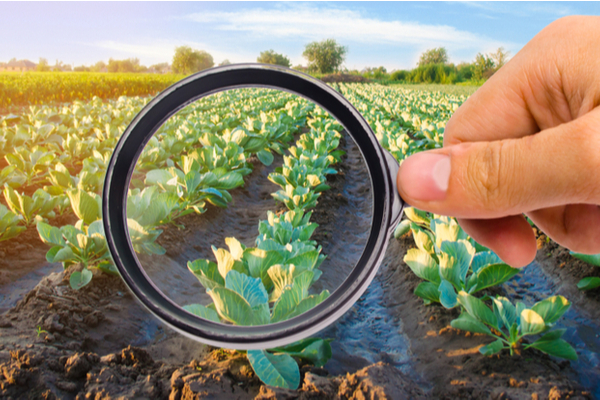 agroalimentaire