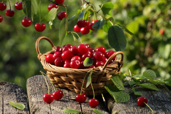 cerises