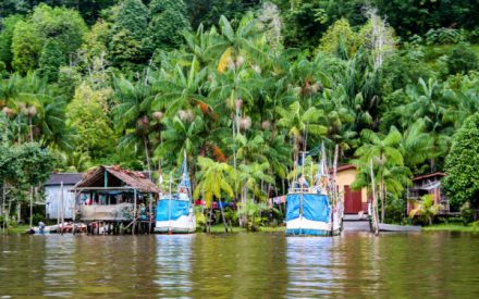 guyane