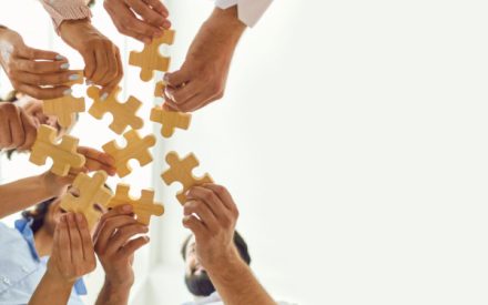 participation