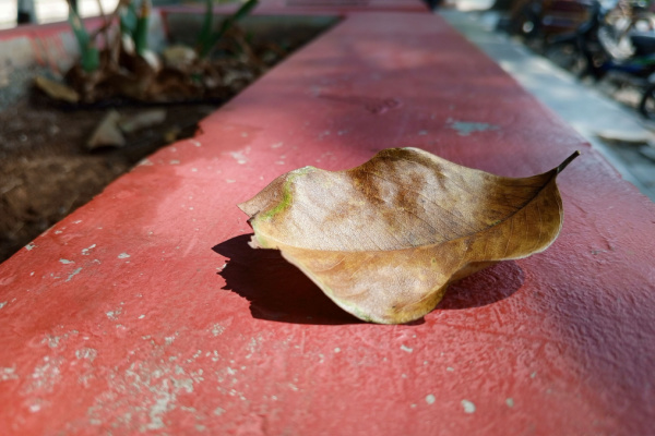logementvacant