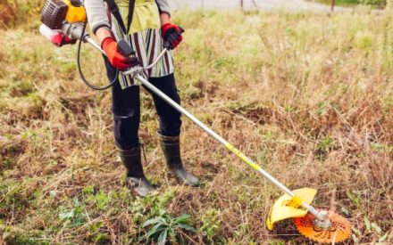 debroussaillementjardinparticulier