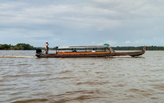 shutterstock aidepirogueguyane