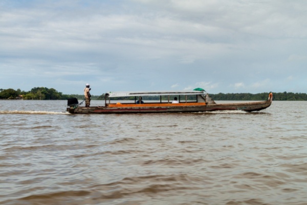 shutterstock aidepirogueguyane